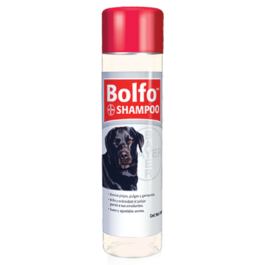 SHAMPOO BOLFO